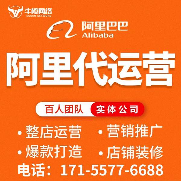 北海电商代运营
