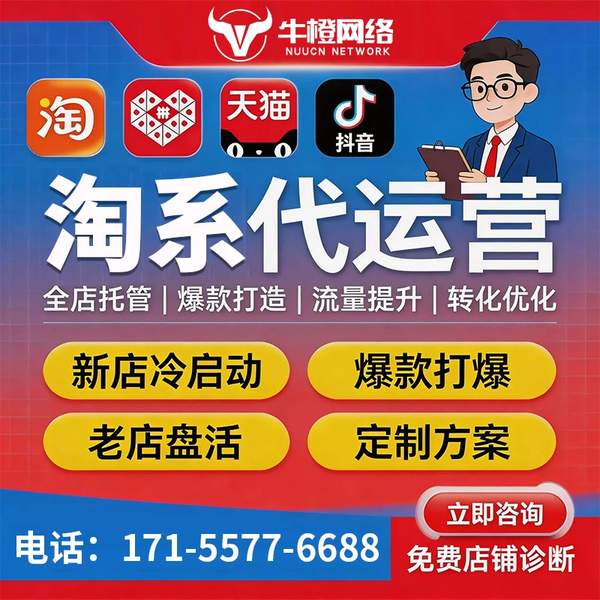 北海电商代运营