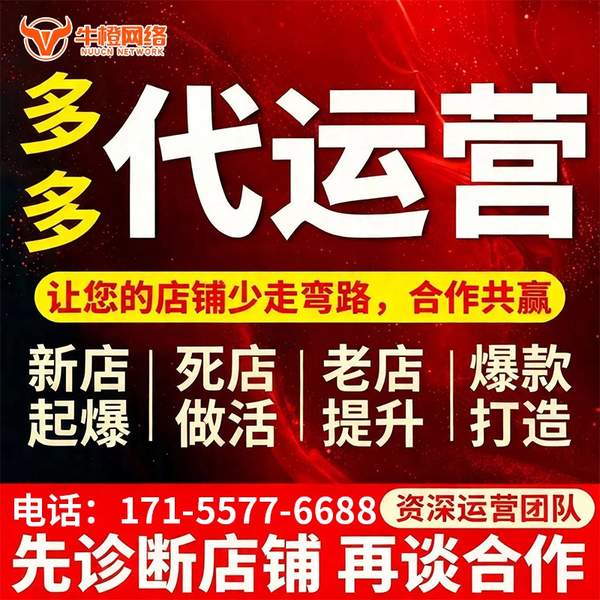 北海电商代运营