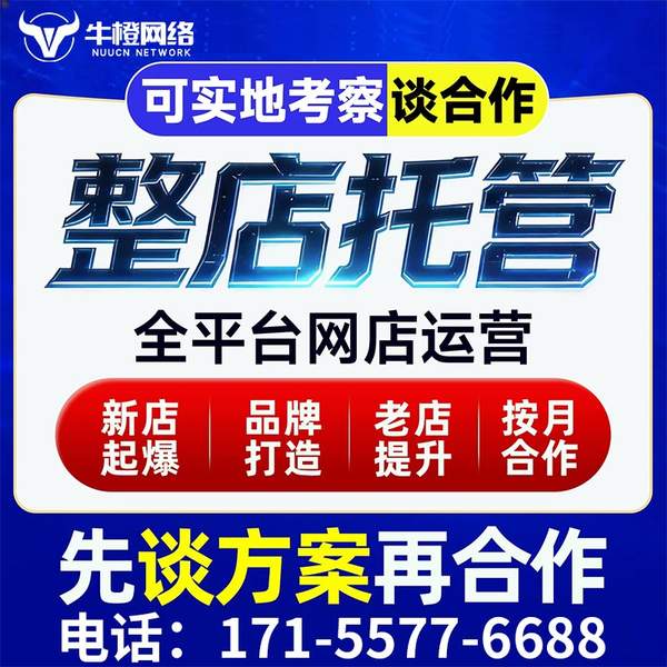 北海电商代运营
