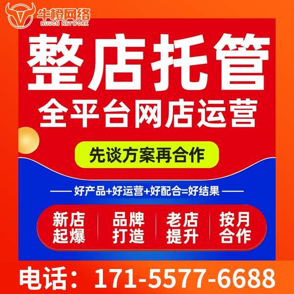 北海电商代运营