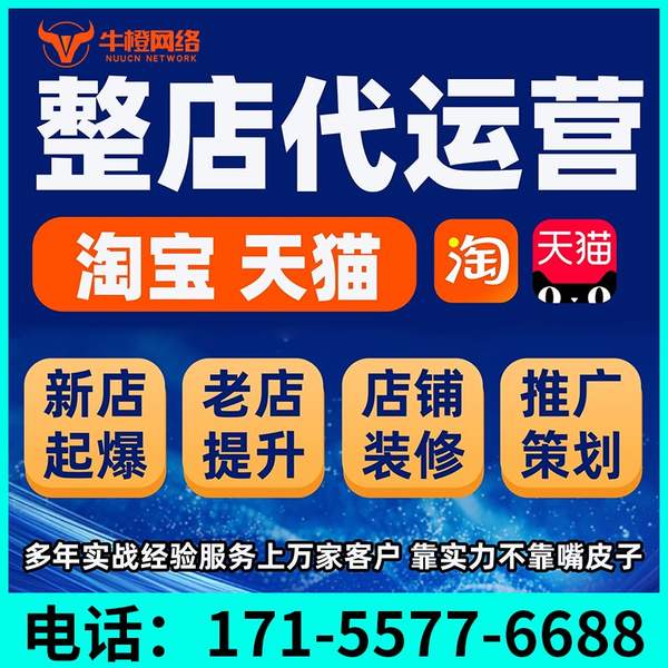 北海电商代运营