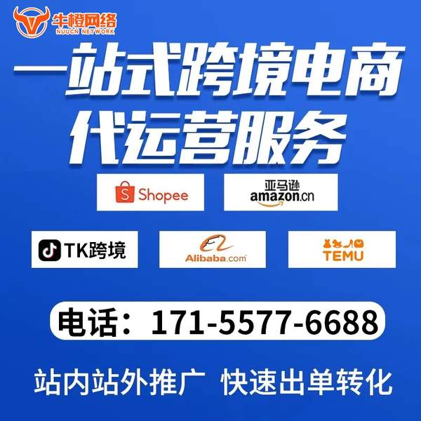 北海电商代运营