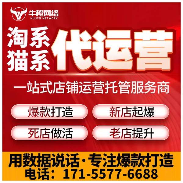 北海电商代运营
